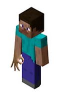 Yeah, I'm something of a minecrafter myself