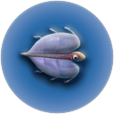 Cooked Airsack.png