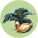 Marblemelon Seeds.png