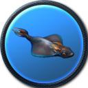 Rabbitray-0.png