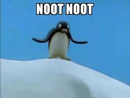 NOOT.jpg
