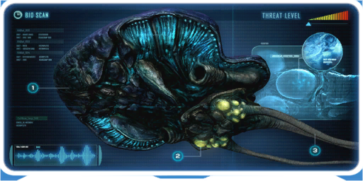 Reefback-1.png