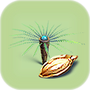 Fern Palm Seed.png