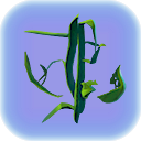 Creepvine Sample.png
