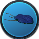 Reefback-0.png