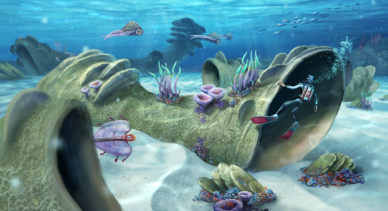 CoralReefZone 02 LowRes.jpg