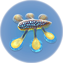 Hoverfish.png