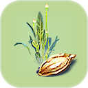 Purple Vegetable Plant Seed.png