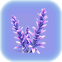Violet Beau.png