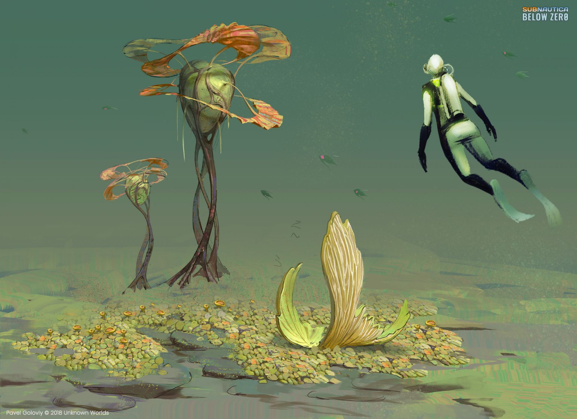 Plants 22.jpg