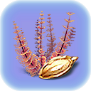 Red Bush Seed.png