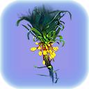 Creepvine.png