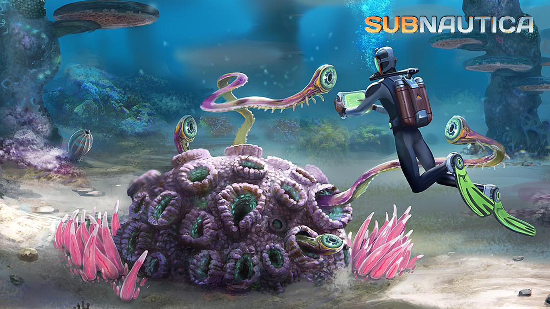 Purplebraincoralconcept.png