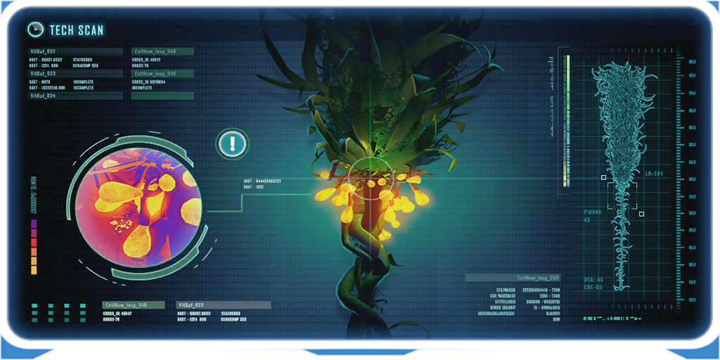 Creepvine DB.png