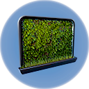 Wall Planter.png