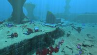 A small wreckage in the Grassy Plateaus
