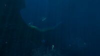 Entrance to the Blood Kelp Trench from the Sparse Reef
