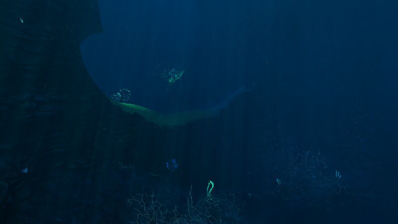 File:Blood Kelp Zone Trench (6).jpg