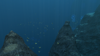 The Border between the Grand Reef and the Crag Field