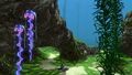 Drooping Stingers in Kelp Forest