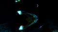 Bioluminescence