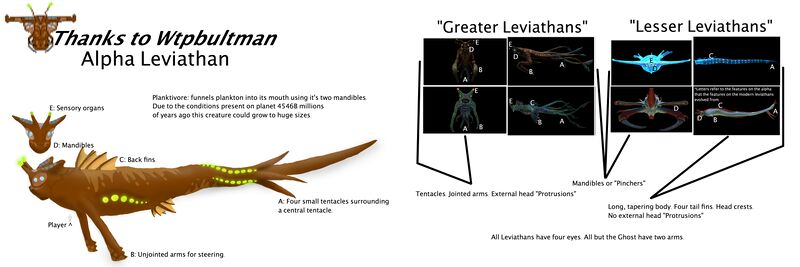 File:Alpha Leviathan.jpg