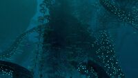 Many Crescent Moon Corals growing on a wall in the trench