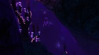 The intersection with the Lilypads Crevice