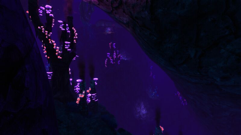 File:MargBaseFissure.jpeg