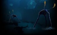 Background 03 Sea Treaders