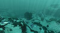 Sparse Reef Large Wreck20