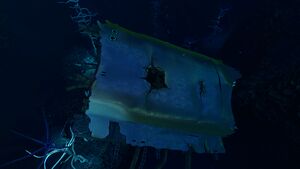 Blood Kelp Zone Trench (8).jpg