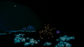Shoal of Spinefish next to a Gel Sack in the caves system