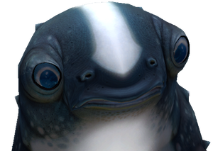 CCA29C41-084E-480D-94C0-D62A471731C2.png