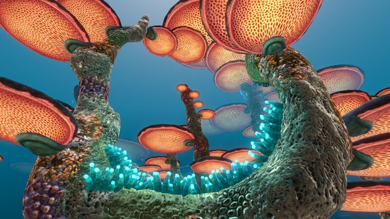 File:Mushroom Forest (1).jpg