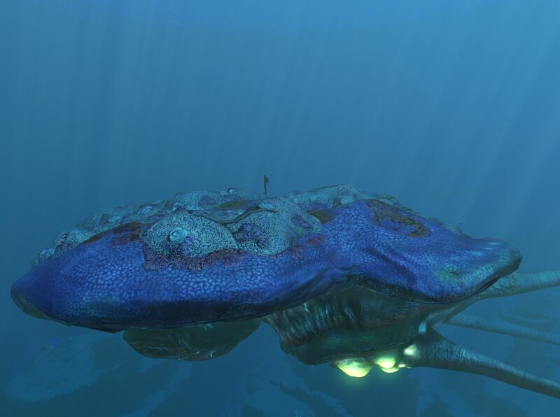 File:Reef-Size.jpg