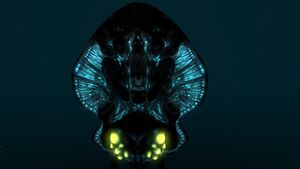 Reefback (9).jpg
