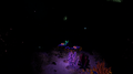 The Dunes Caves at night