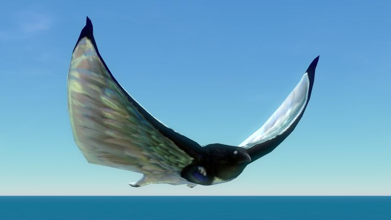 File:Skyray (01).jpg