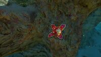 The Crashfish preparing to strike