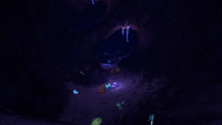 The interior of the largest cave