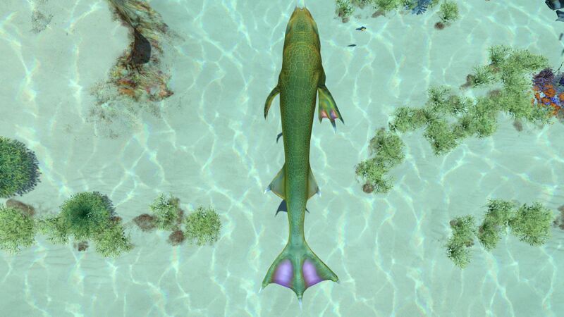 File:LavaLizard4.jpg