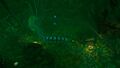 Thumbnail for version as of 23:18, 6 August 2021