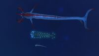 A size comparison between a Reaper Leviathan, an Ampeel and a River Prowler
