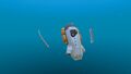 The Beacon can be placed anywhere in the ocean or on land and picked up again