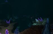 An area in the Aquarium's cave containing various Flora
