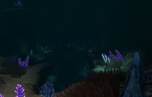 20170510161345 1.jpg