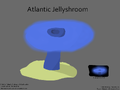 Atlantic Jellyshroom Concept "shroom marmelada Atlántico"