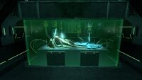 The large tank in the centre of the room containing a Sea Emperor baby that was forcibly removed from its egg