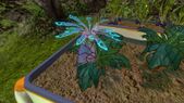 Purple Vase Plant in planter.jpg